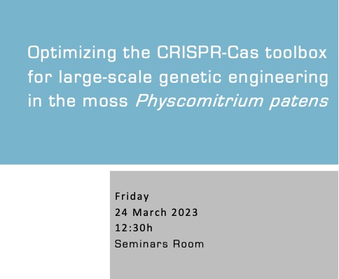Optimizing the CRISPR-Cas toolbox for large-scale genetic engineering in the moss Physcomitrium patens